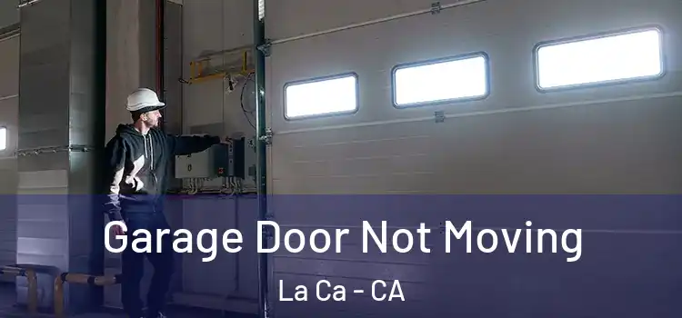  Garage Door Not Moving La Ca - CA