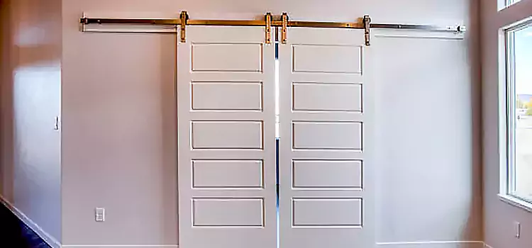 Glass Barn Door with Installation Hardware Kit La Ca