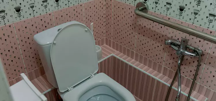Meeting Diverse Needs With Accessible Restroom Solutions in La Ca, CA